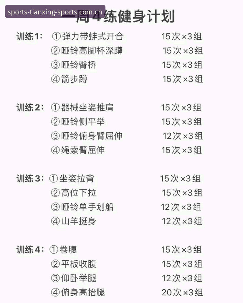 天行体育使用教程最新动态：从入门到精通的全流程指南，官方登录入口与APP下载全解析